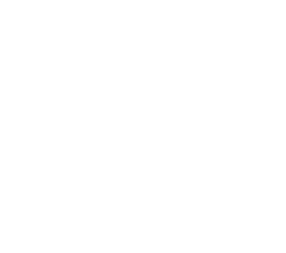 Luceo Partners Logo